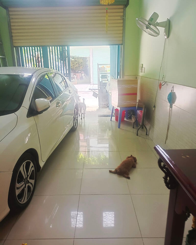 Ban nha binh hung hoa quan binh tan (3)